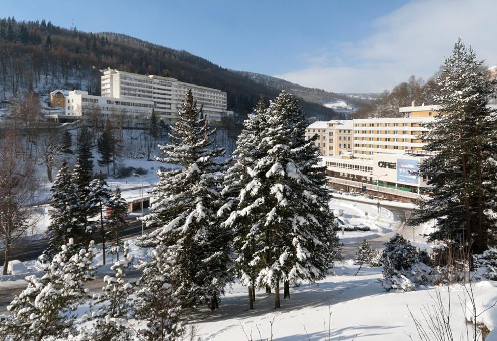 Hotel Luzice ياخيموف المظهر الخارجي الصورة